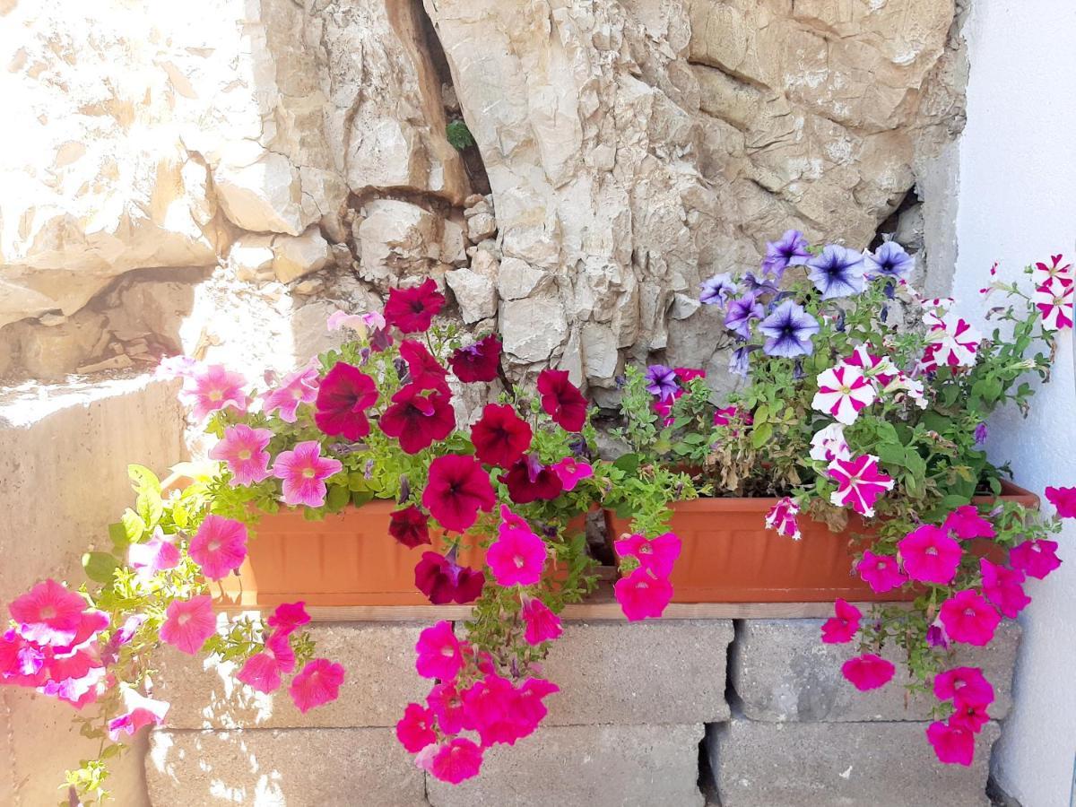 Apartments Tonkita With Jacuzzi Makarska Exterior photo